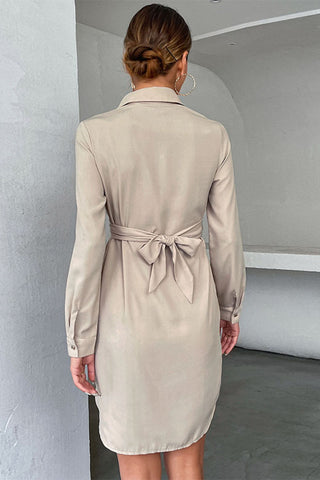 Zurich Shirt Dress